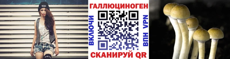 Купить где  Славск  Галлюциногенные грибы MAGIC MUSHROOMS 