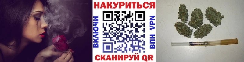 Каннабис планчик Славск